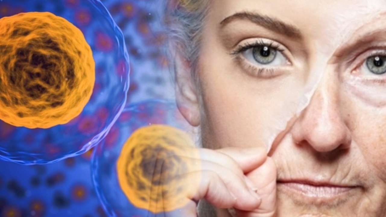 Учёные рассказали о плюсах и минусах омолаживающих препаратов