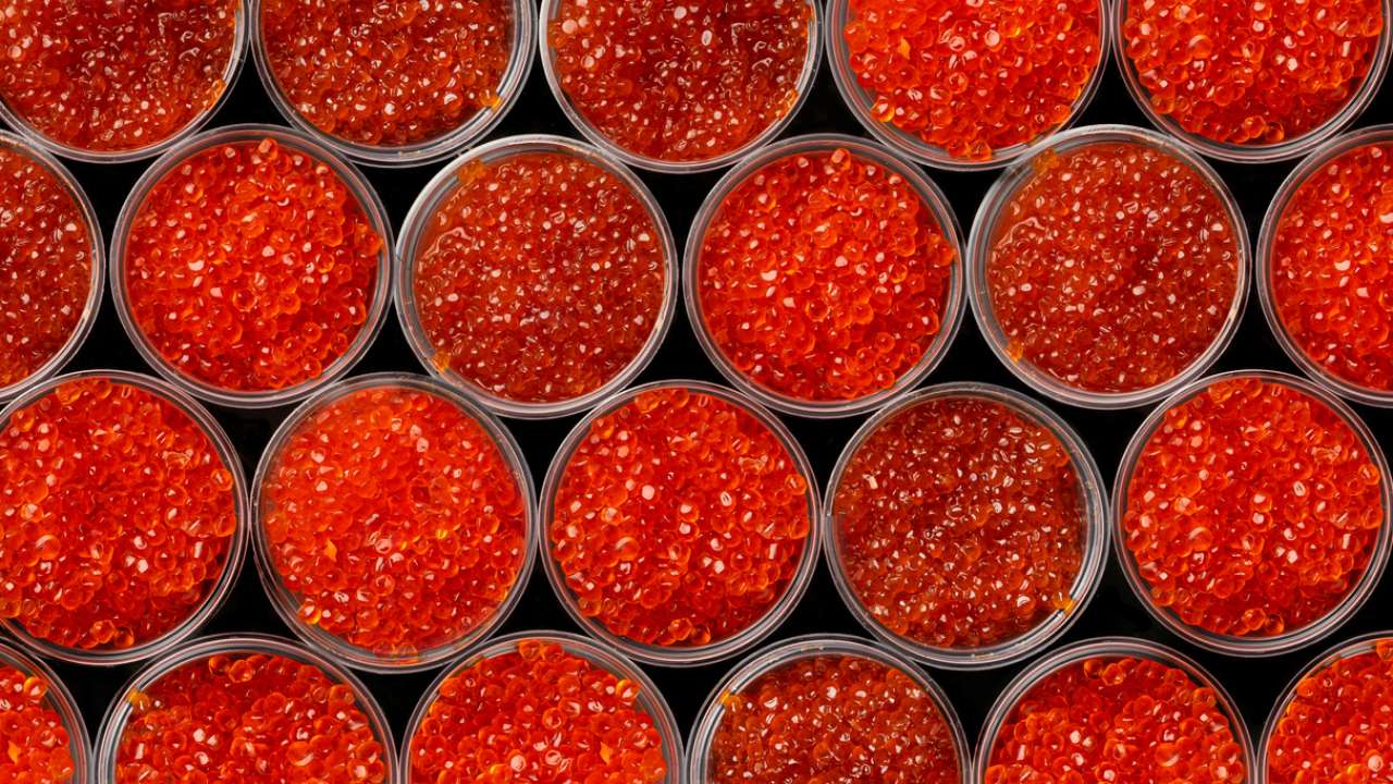 С 1 ноября начнет действовать ограничение на вывоз красной икры с Камчатки