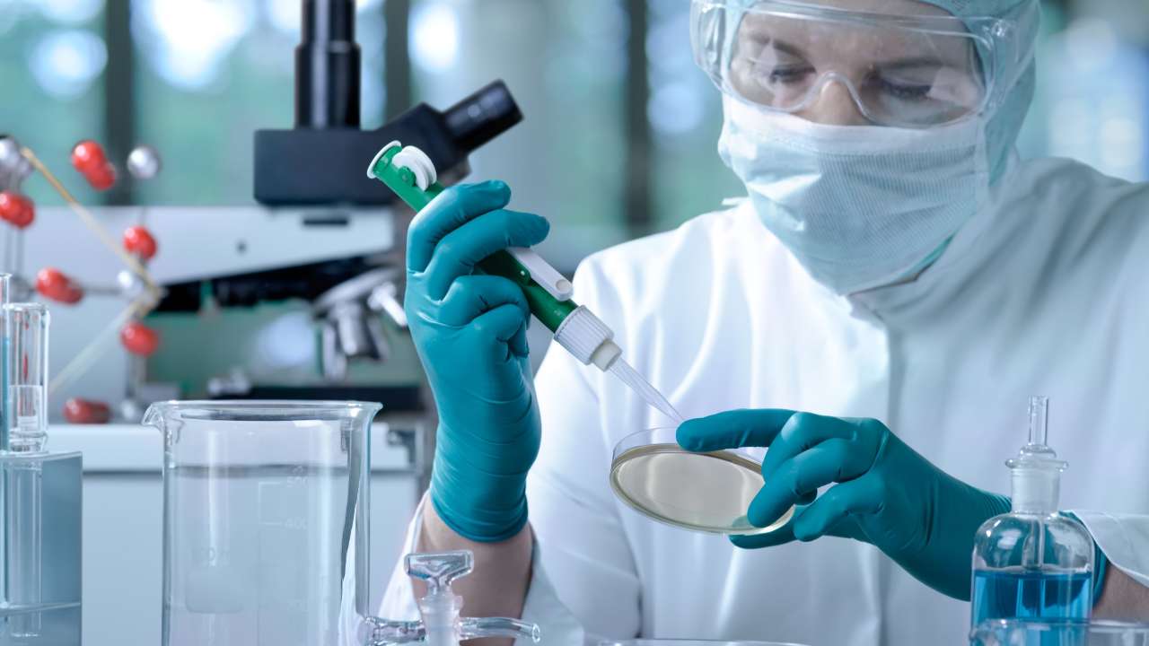 Ученые из Марийского госуниверситета и Института биофизики РАН работают над созданием лекарства от мышечной дистрофии Дюшенна