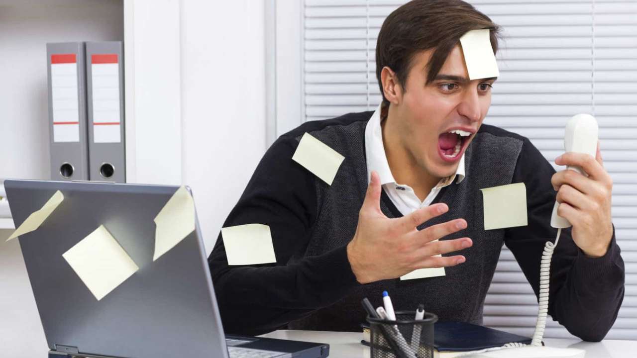 Стала известна самая востребованная профессия в России в 2022 году