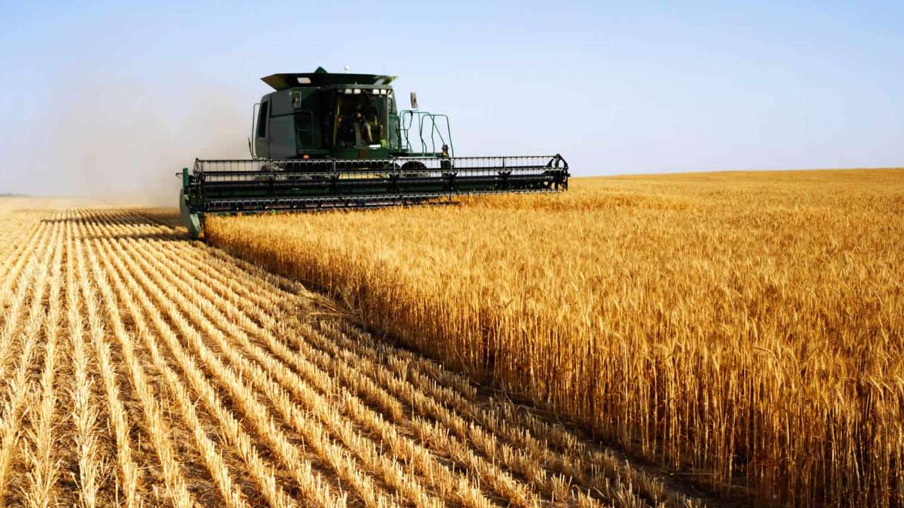 Правительство направит более 23 млрд рублей на поддержку агропромышленного комплекса в новых регионах 