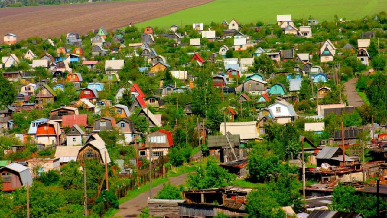 Количество зарегистрированных садовых участков в России увеличилось на 30%