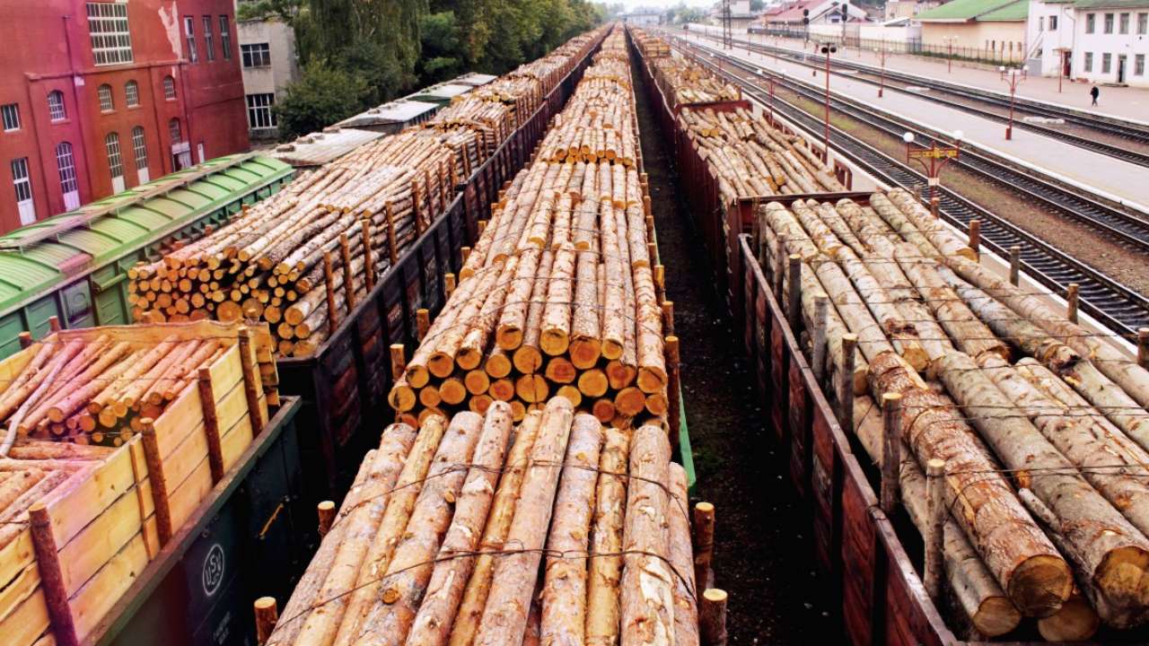 Экспорт российских пиломатериалов за два первых месяца 2023 года упал почти на четверть