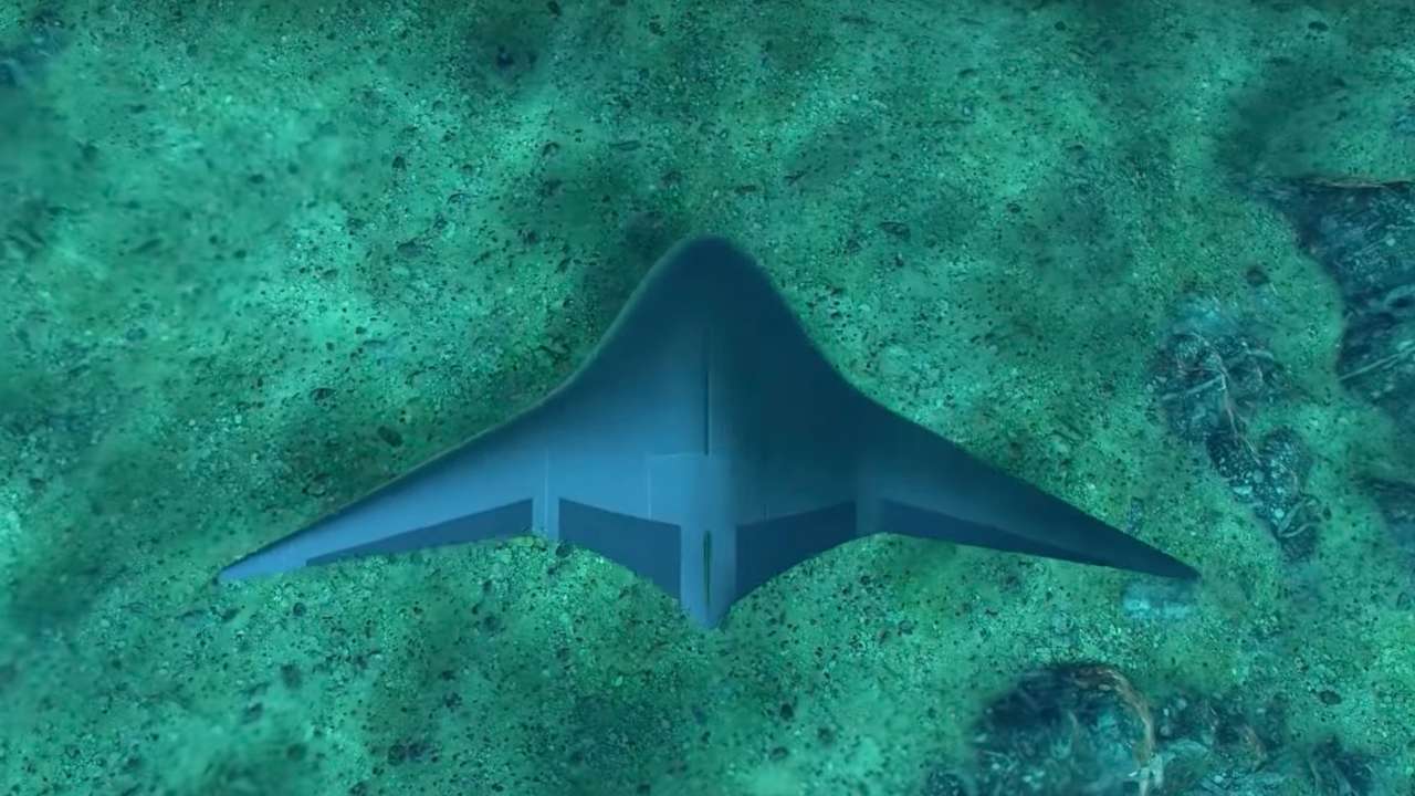 В России разработали подводный дрон «Скат» для разведки и разминирования