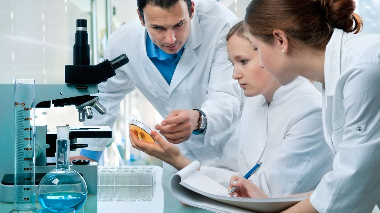 В России появятся три национальных биоресурсных центра