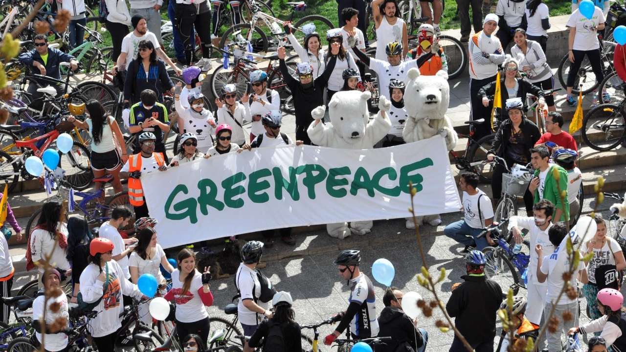 «Гринпис» признана нежелательной организацией в России