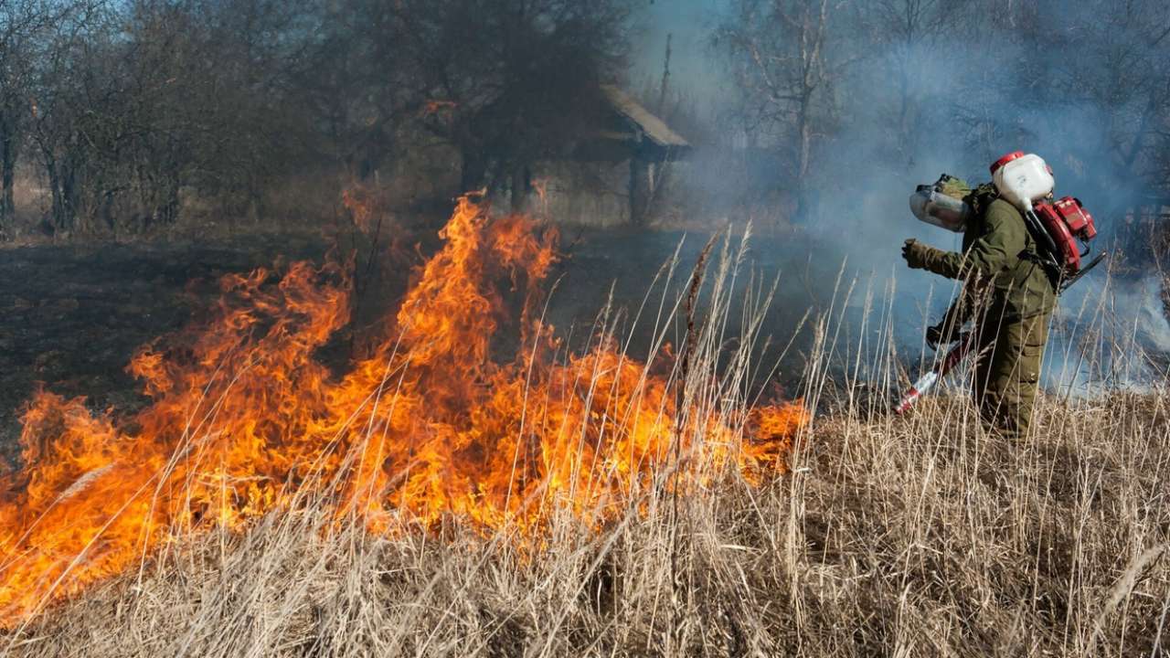 Путин поручил проработать вопрос по ужесточению наказания за поджоги травы и леса
