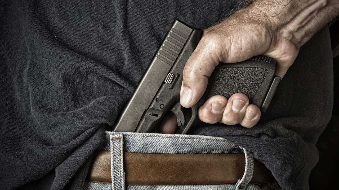 В России до конца года может быть запущена федеральная платформа по контролю за оборотом оружия