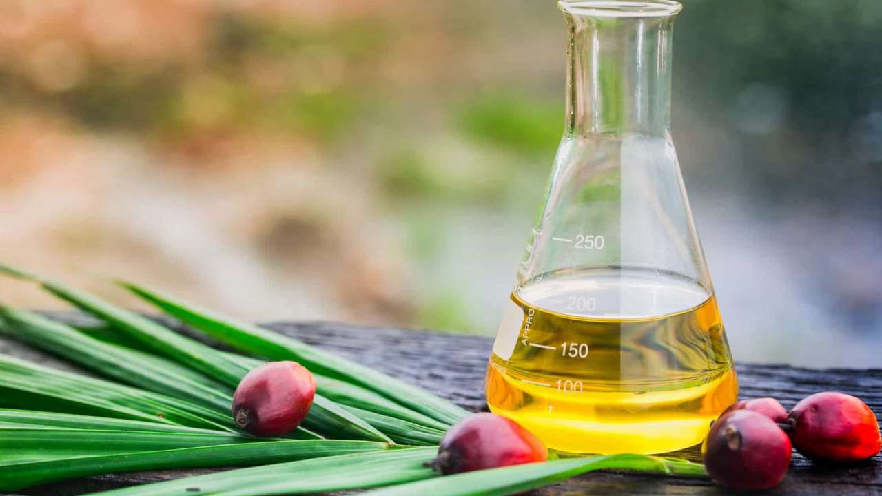 Володин предложил ввести уголовное наказание за использование пальмового масла в продуктах питания