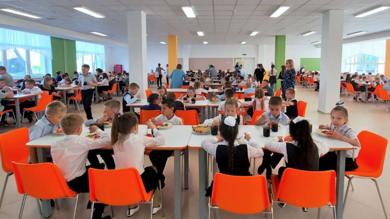 В одной из школ Санкт-Петербурга произошло массовое отравление детей