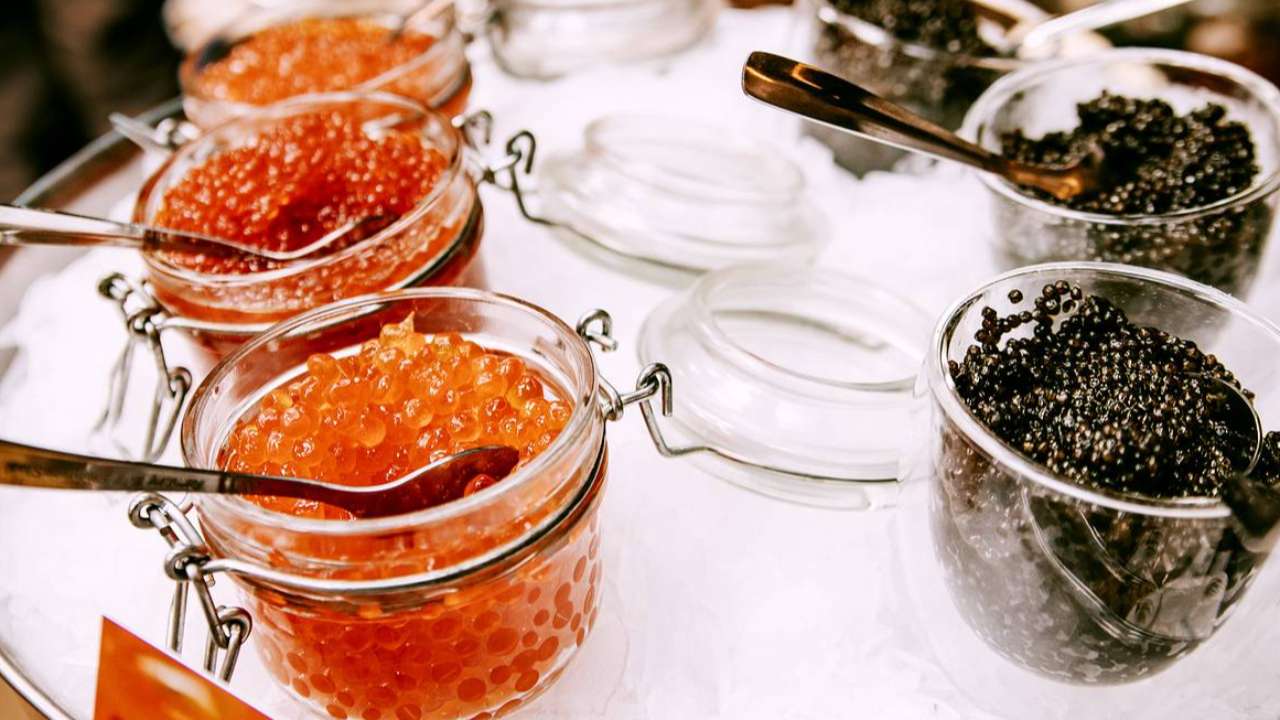 Обязательная маркировка икры осетровых и лососевых рыб в России может быть запущена с 1 апреля 2024 года