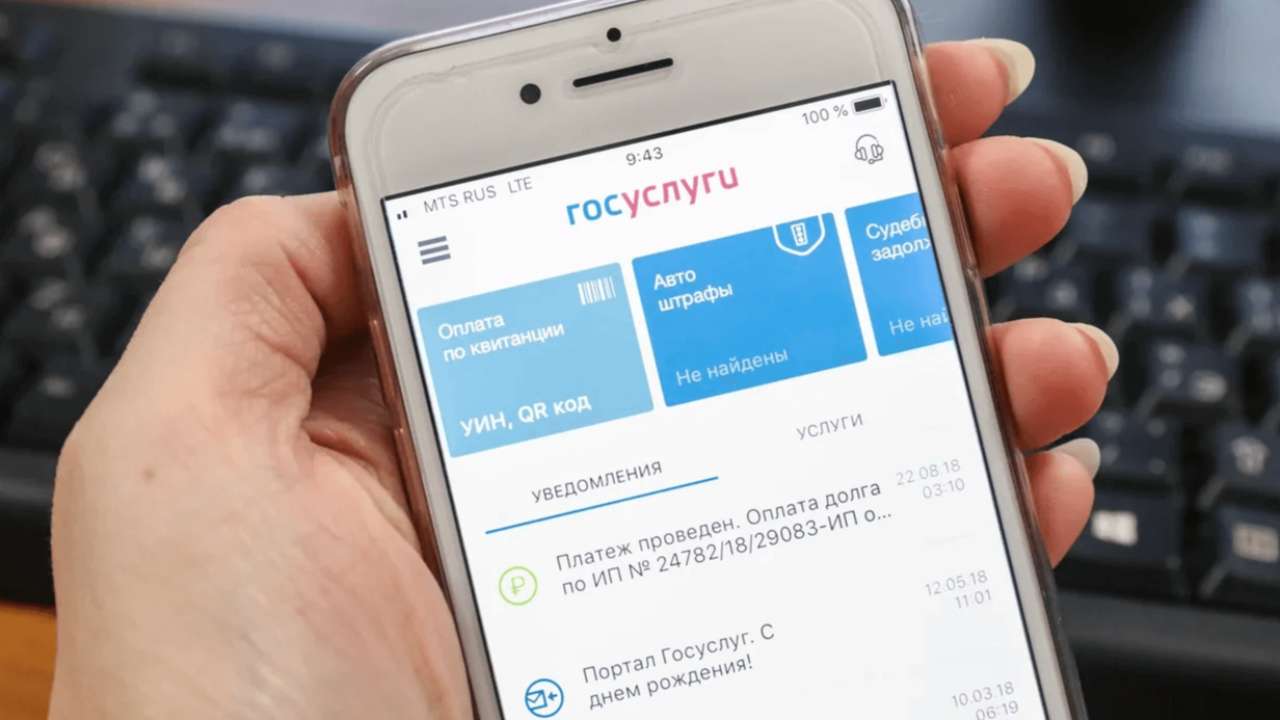 Россияне смогут проверять подлинность товаров через «Госуслуги»