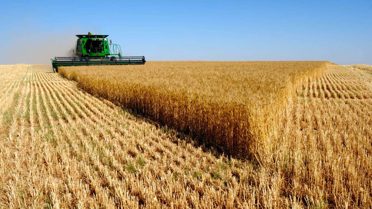 Кабмин направил еще 45 млрд рублей на льготное кредитование аграриев