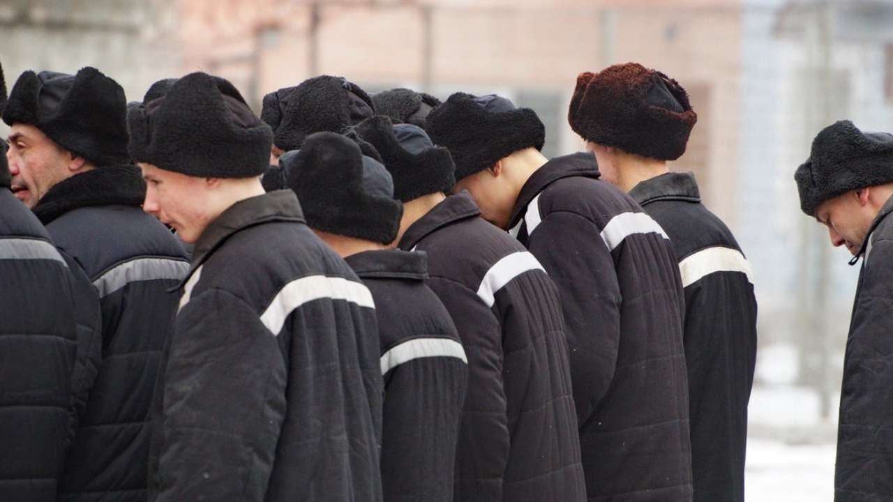 За последние 10 лет в российских колониях сократилось количество заключенных более чем вдвое