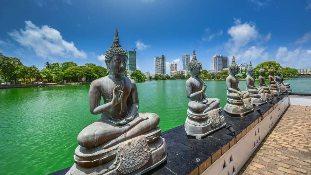 Шри-Ланка начала выдавать бесплатные визы россиянам 