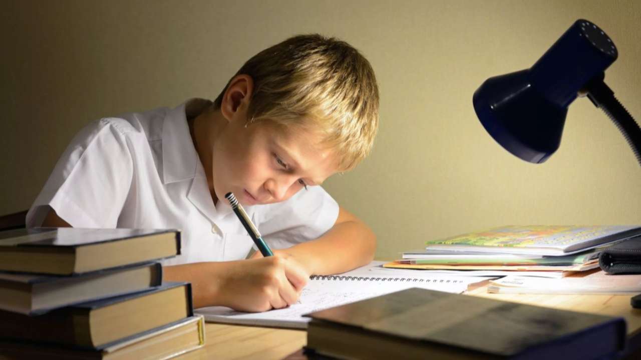Минцифры предлагает внедрить автоматическую проверку домашних заданий школьников