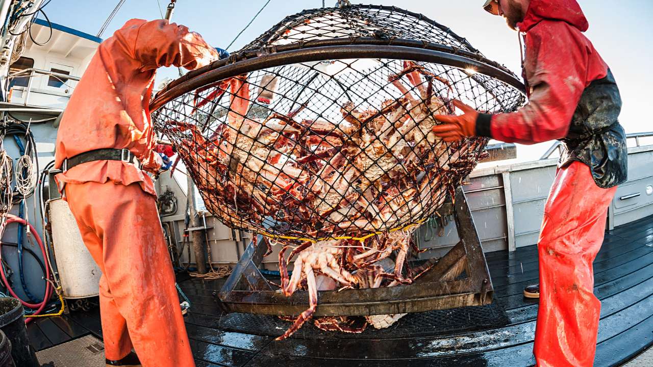 Генпрокуратура подала иск против «крабовых королей» на почти 400 млрд рублей