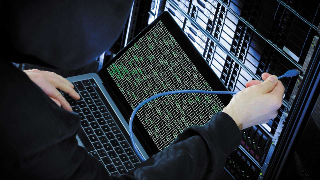 С начала 2024 года в Сеть утекли свыше 510 млн записей россиян 