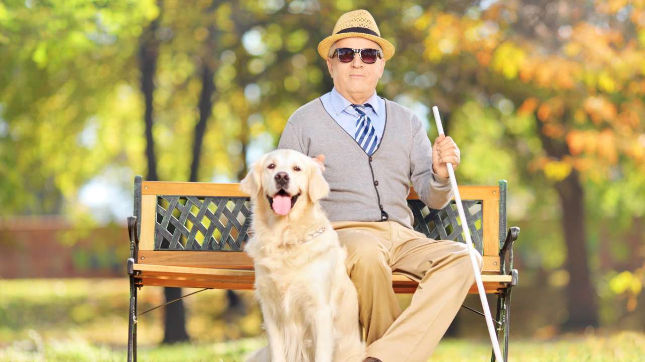 Российские ученые разработали уникальные «электронные глаза» для слепых