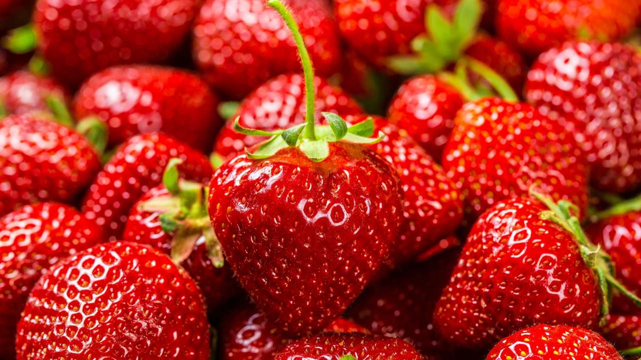 В Минсельхозе прокомментировали ситуацию с ценами на клубнику в России