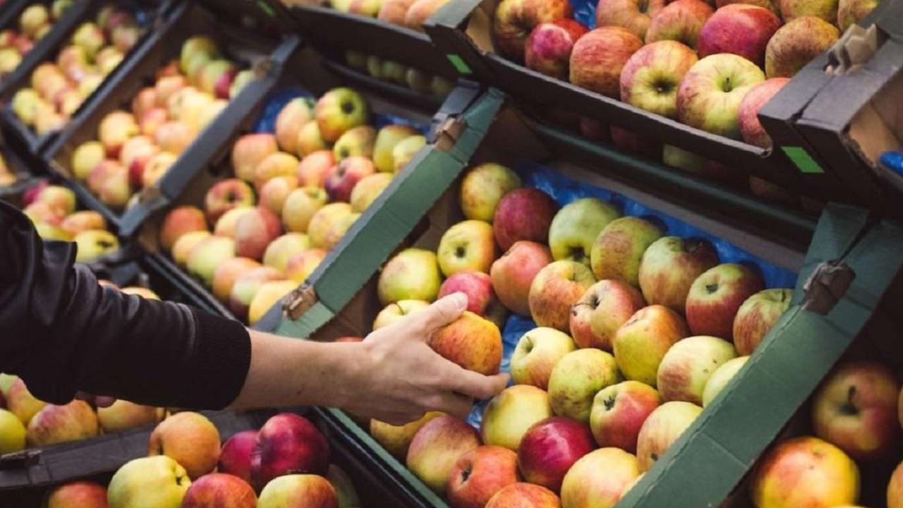 В российских магазинах появятся яблоки из Северной Кореи