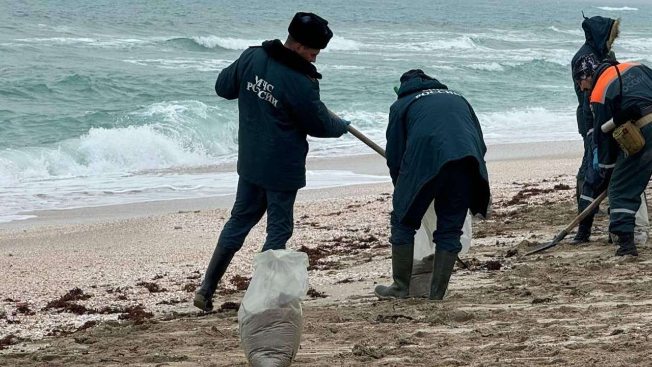 Путин подверг критике работу чиновников по устранению ущерба от разлива мазута в Черном море