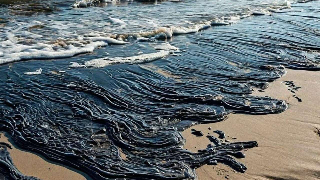Правительство выделило 1,5 млрд рублей на ликвидацию последствий разлива мазута в Черном море